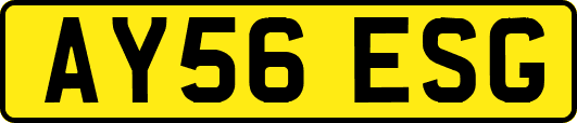 AY56ESG