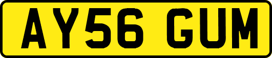 AY56GUM
