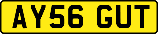 AY56GUT
