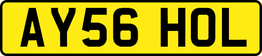 AY56HOL