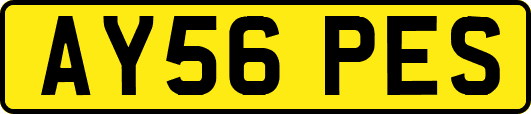 AY56PES