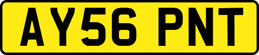 AY56PNT