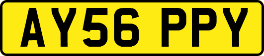AY56PPY