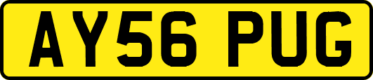 AY56PUG
