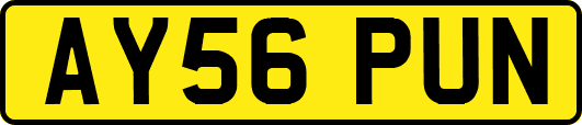 AY56PUN