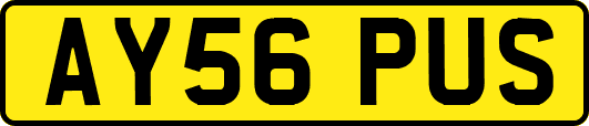 AY56PUS