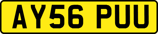 AY56PUU