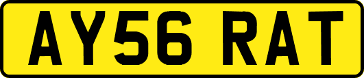 AY56RAT