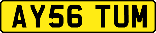 AY56TUM