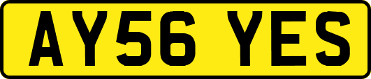 AY56YES