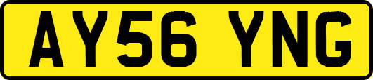 AY56YNG