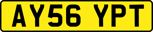 AY56YPT
