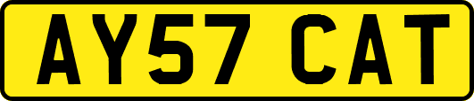 AY57CAT