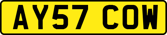 AY57COW