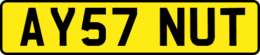 AY57NUT