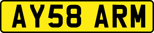 AY58ARM