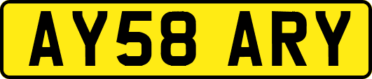 AY58ARY