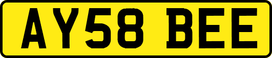 AY58BEE