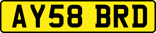 AY58BRD