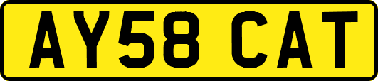 AY58CAT