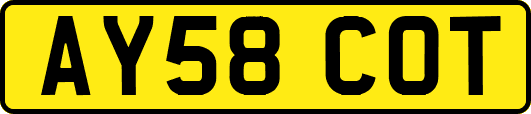 AY58COT