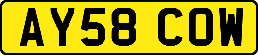 AY58COW