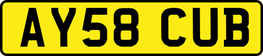 AY58CUB