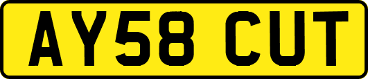 AY58CUT