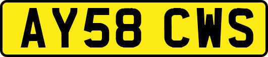 AY58CWS