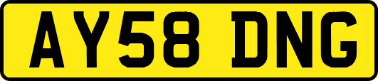 AY58DNG