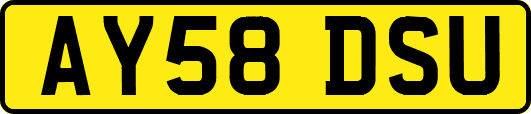 AY58DSU