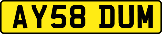 AY58DUM