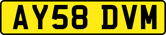 AY58DVM