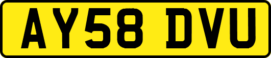 AY58DVU