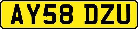 AY58DZU