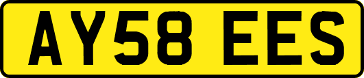 AY58EES