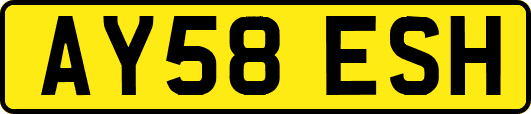AY58ESH