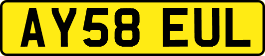 AY58EUL