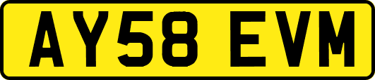 AY58EVM