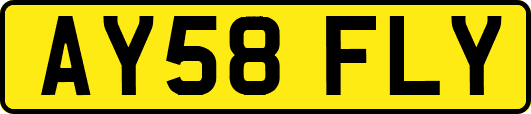 AY58FLY