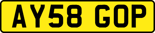 AY58GOP