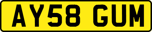 AY58GUM
