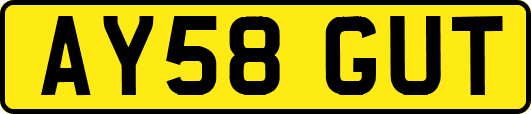 AY58GUT
