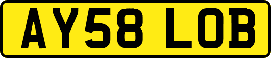 AY58LOB