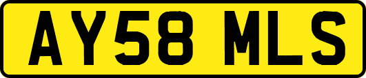 AY58MLS