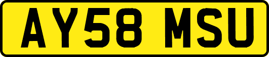 AY58MSU