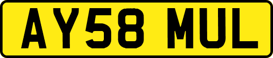 AY58MUL