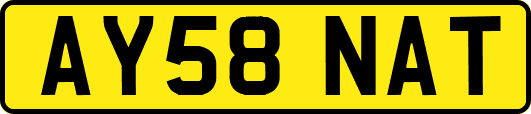 AY58NAT