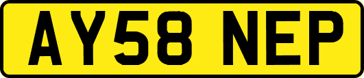 AY58NEP