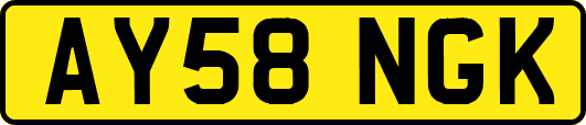 AY58NGK